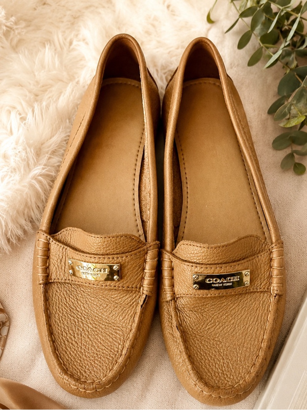 Coach Tan Fredrica Loafers with Gold Plaque